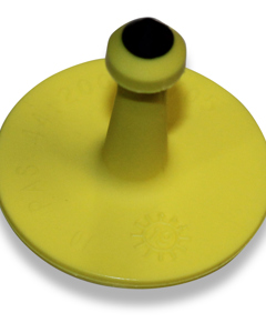 Ohrknopf D gelb, kleines rundes Gegenstück (2,8cm)